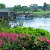 Beals Island