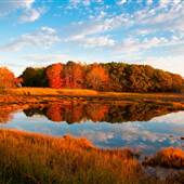 Marsh, Scarborough, Maine
