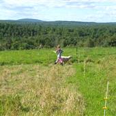 Sweetgrass Intervale