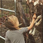 Lone Spruce Farm