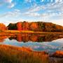 Marsh, Scarborough, Maine
