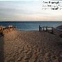 Ferry Beach State Park