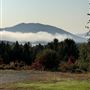 77 Caldwell Rd
