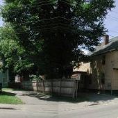 Auburn
