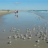 Beach, Ogunquit, Maine