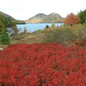 View of Bubble Mountain, Acadia National Park