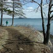 Mackworth Island, Falmouth, Maine