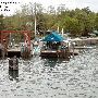 Diamond Cove Landing