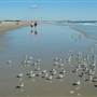 Beach, Ogunquit, Maine