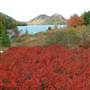 View of Bubble Mountain, Acadia National Park