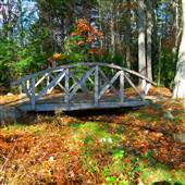 Pineland Farms, New Gloucester, Maine