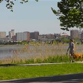 Portland Back Bay