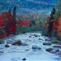 Foliage, Carrabassett Valley, Maine