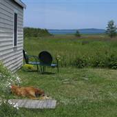 Lubec Bay Cottage