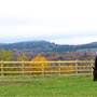 Peace Ridge Sanctuary