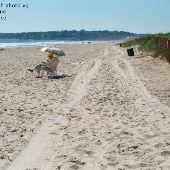 Ogunquit beaches
