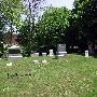 Forest Hills Cemetery