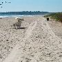 Ogunquit beaches