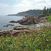 Cutler Public Preserve along Maine's “Bold Coast”