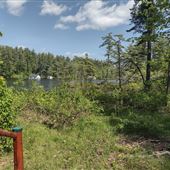 Goldenrod Lodge
