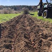 Orchard Ridge Farm