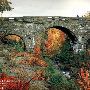 Acadia National Park Carriage Bridge