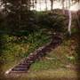 Hersey Retreat Cottage, Stockton Springs, ME