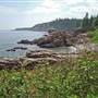 Cutler Public Preserve along Maine's “Bold Coast”