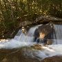 Grafton Notch State Park