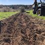 Orchard Ridge Farm