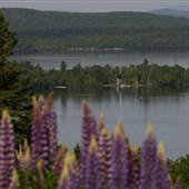 Rangeley Lake, Rangeley