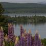 Rangeley Lake, Rangeley