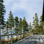 Oceanfront Ledge