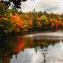 Foliage, Bingham, Maine