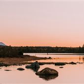 Medawisla Lodge & Cabins