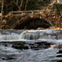 Vaughn Woods. Hallowell, Maine