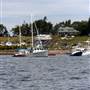Harpswell Shoreline, Harpswell, Maine