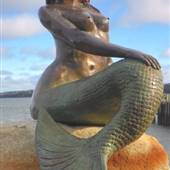mermaid